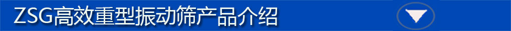 ZSG高效重型振動篩標題欄